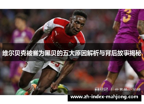 维尔贝克被誉为黑贝的五大原因解析与背后故事揭秘