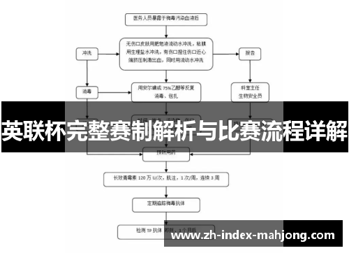 英联杯完整赛制解析与比赛流程详解