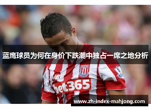 蓝鹰球员为何在身价下跌潮中独占一席之地分析