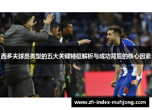 西多夫球员类型的五大关键特征解析与成功背后的核心因素 西多夫球员类型的五大关键特征解析与成功背后的核心因素