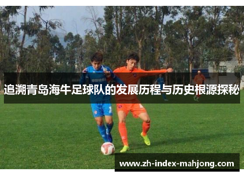 追溯青岛海牛足球队的发展历程与历史根源探秘 追溯青岛海牛足球队的发展历程与历史根源探秘