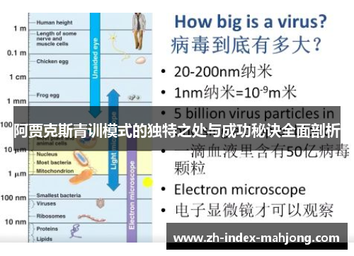 阿贾克斯青训模式的独特之处与成功秘诀全面剖析 阿贾克斯青训模式的独特之处与成功秘诀全面剖析